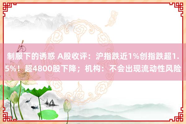 制服下的诱惑 A股收评：沪指跌近1%创指跌超1.5%！超4800股下降；机构：不会出现流动性风险