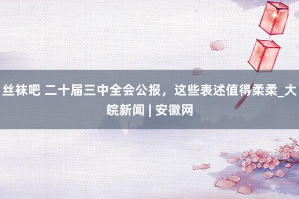 丝袜吧 二十届三中全会公报，这些表述值得柔柔_大皖新闻 | 安徽网