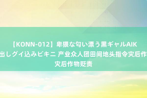 【KONN-012】卑猥な匂い漂う黒ギャルAIKAの中出しグイ込みビキニ 产业众人团田间地头指令灾后作物贬责