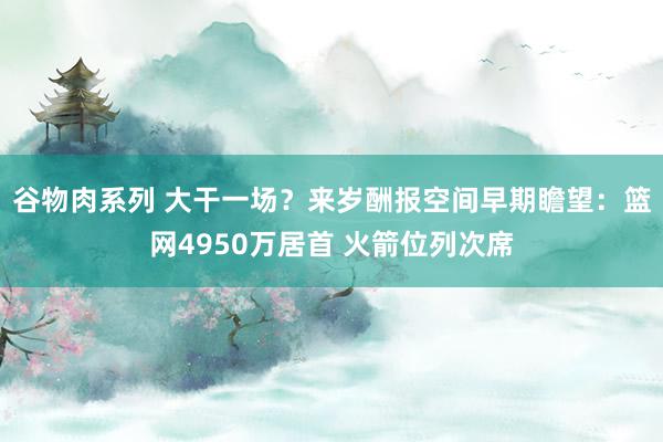 谷物肉系列 大干一场？来岁酬报空间早期瞻望：篮网4950万居首 火箭位列次席