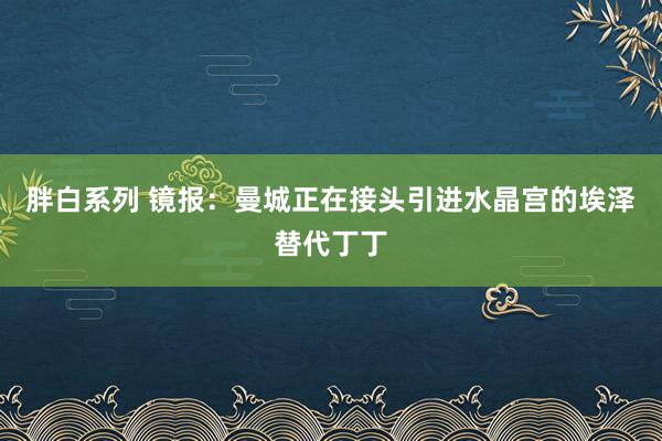 胖白系列 镜报：曼城正在接头引进水晶宫的埃泽替代丁丁