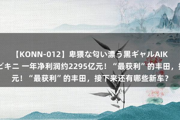 【KONN-012】卑猥な匂い漂う黒ギャルAIKAの中出しグイ込みビキニ 一年净利润约2295亿元！“最获利”的丰田，接下来还有哪些新车？