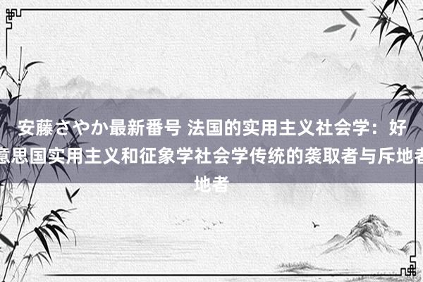 安藤さやか最新番号 法国的实用主义社会学：好意思国实用主义和征象学社会学传统的袭取者与斥地者