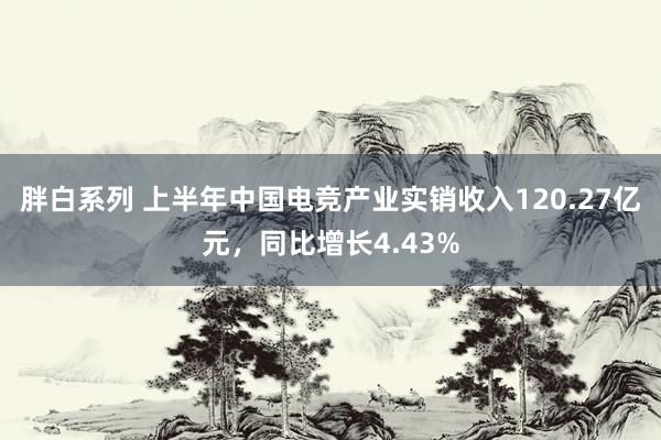 胖白系列 上半年中国电竞产业实销收入120.27亿元，同比增长4.43%