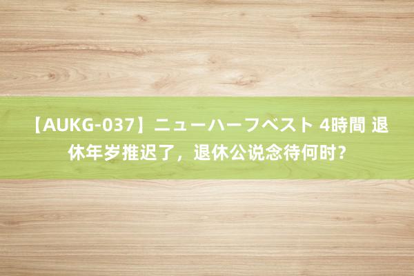 【AUKG-037】ニューハーフベスト 4時間 退休年岁推迟了，退休公说念待何时？