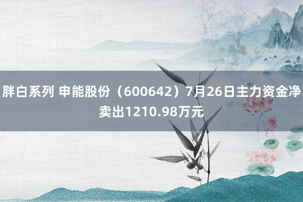 胖白系列 申能股份（600642）7月26日主力资金净卖出1210.98万元