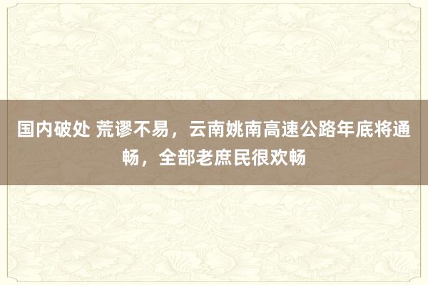 国内破处 荒谬不易，云南姚南高速公路年底将通畅，全部老庶民很欢畅