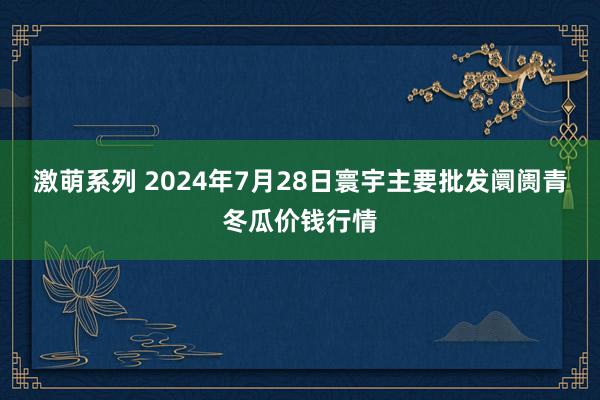 激萌系列 2024年7月28日寰宇主要批发阛阓青冬瓜价钱行情