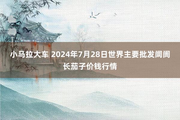 小马拉大车 2024年7月28日世界主要批发阛阓长茄子价钱行情