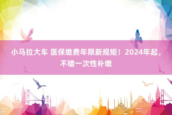 小马拉大车 医保缴费年限新规矩！2024年起，不错一次性补缴