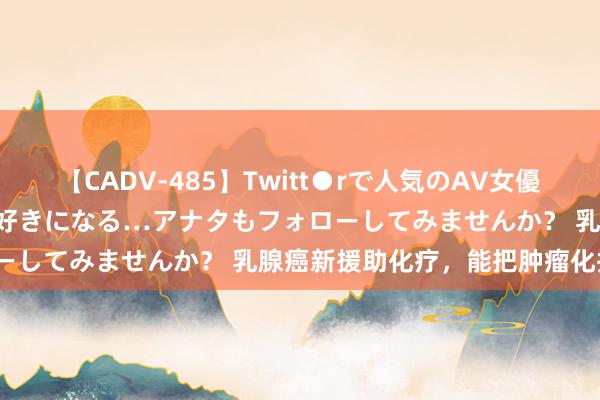 【CADV-485】Twitt●rで人気のAV女優 SNSでますますAV女優が好きになる…アナタもフォローしてみませんか？ 乳腺癌新援助化疗，能把肿瘤化掉吗？