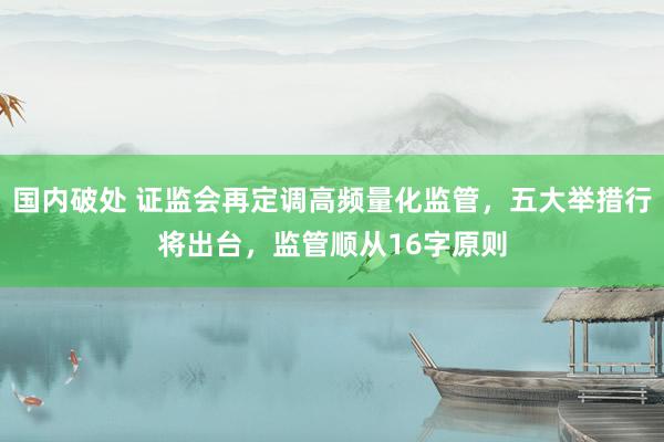 国内破处 证监会再定调高频量化监管，五大举措行将出台，监管顺从16字原则