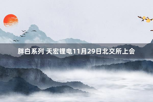 胖白系列 天宏锂电11月29日北交所上会