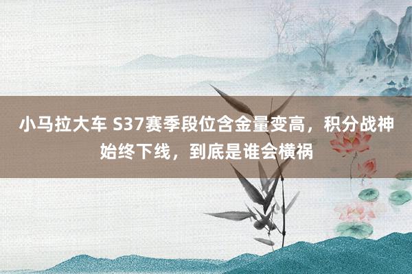 小马拉大车 S37赛季段位含金量变高，积分战神始终下线，到底是谁会横祸