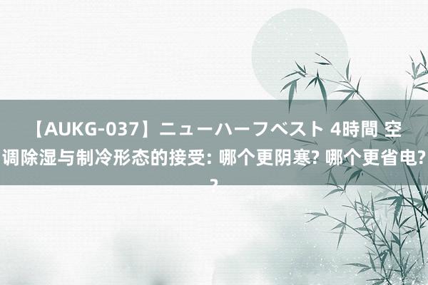 【AUKG-037】ニューハーフベスト 4時間 空调除湿与制冷形态的接受: 哪个更阴寒? 哪个更省电?