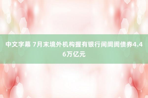 中文字幕 7月末境外机构握有银行间阛阓债券4.46万亿元