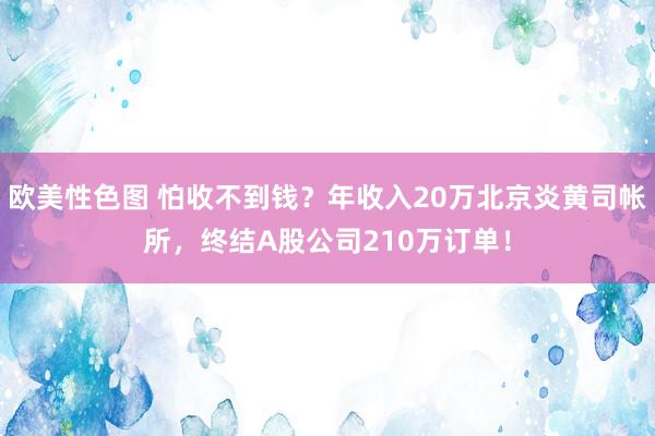 欧美性色图 怕收不到钱？年收入20万北京炎黄司帐所，终结A股公司210万订单！