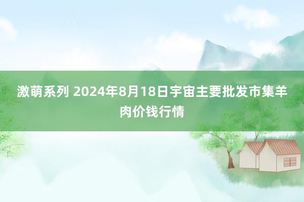 激萌系列 2024年8月18日宇宙主要批发市集羊肉价钱行情