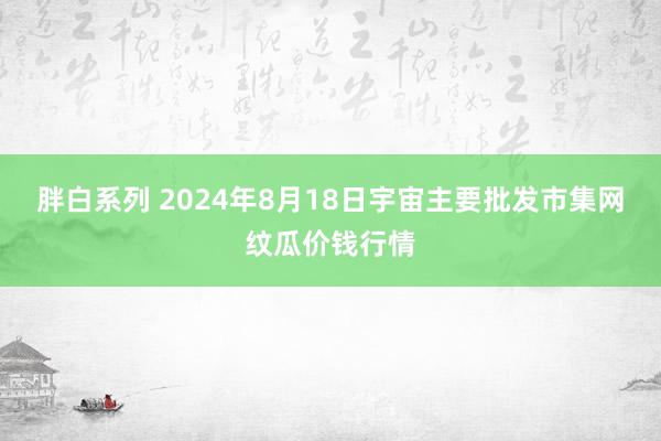 胖白系列 2024年8月18日宇宙主要批发市集网纹瓜价钱行情