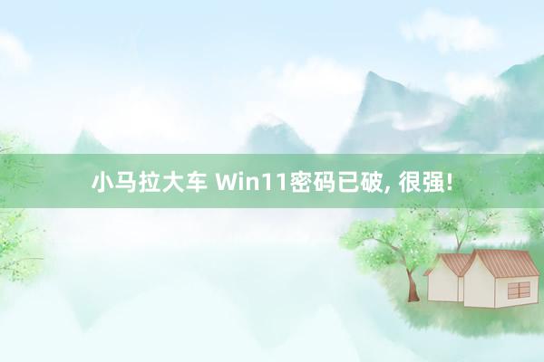 小马拉大车 Win11密码已破, 很强!