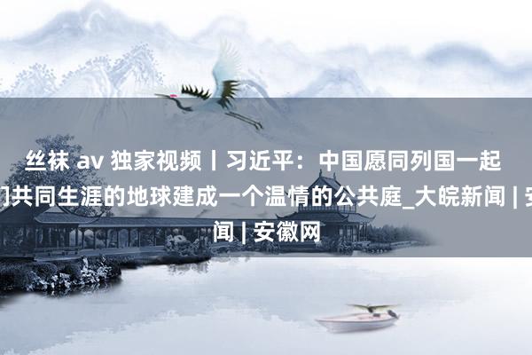 丝袜 av 独家视频丨习近平：中国愿同列国一起 把咱们共同生涯的地球建成一个温情的公共庭_大皖新闻 | 安徽网