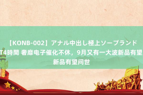 【KONB-002】アナル中出し極上ソープランドBEST4時間 奢靡电子催化不休，9月又有一大波新品有望问世