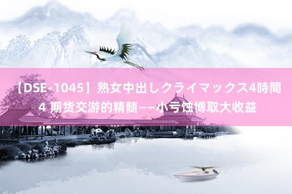 【DSE-1045】熟女中出しクライマックス4時間 4 期货交游的精髓——小亏蚀博取大收益