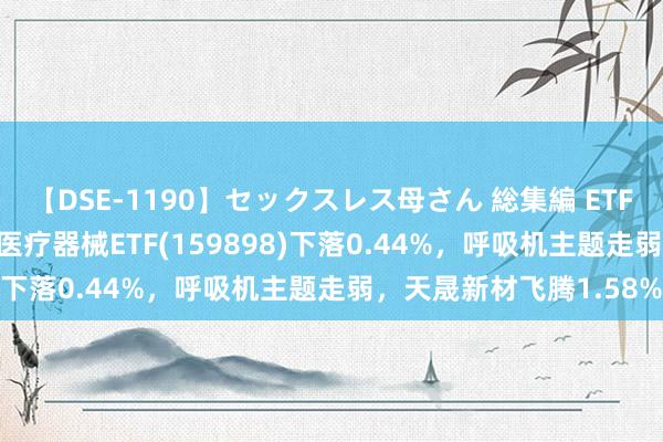 【DSE-1190】セックスレス母さん 総集編 ETF最前哨 | 招商中证全指医疗器械ETF(159898)下落0.44%，呼吸机主题走弱，天晟新材飞腾1.58%