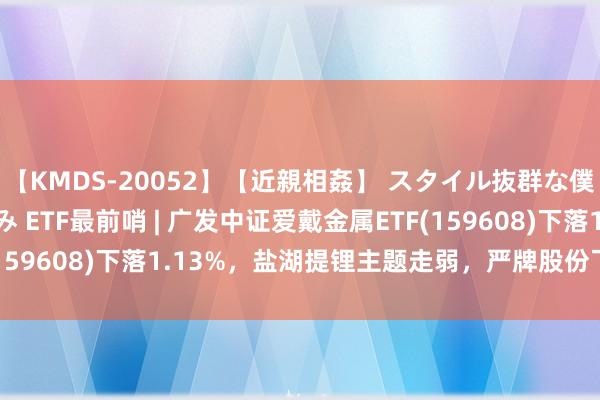 【KMDS-20052】【近親相姦】 スタイル抜群な僕の叔母さん 高梨あゆみ ETF最前哨 | 广发中证爱戴金属ETF(159608)下落1.13%，盐湖提锂主题走弱，严牌股份飞腾6.08%