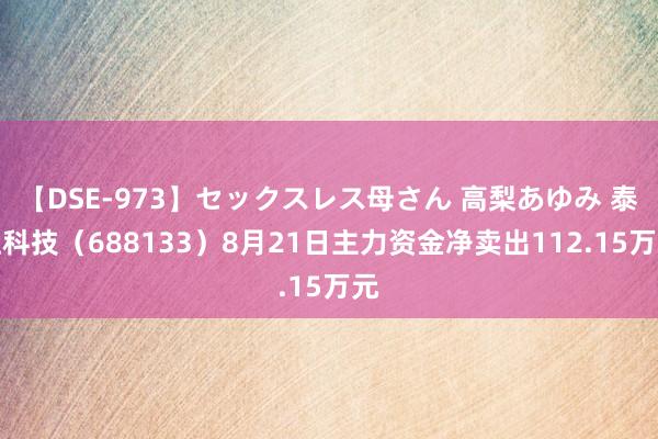 【DSE-973】セックスレス母さん 高梨あゆみ 泰坦科技（688133）8月21日主力资金净卖出112.15万元