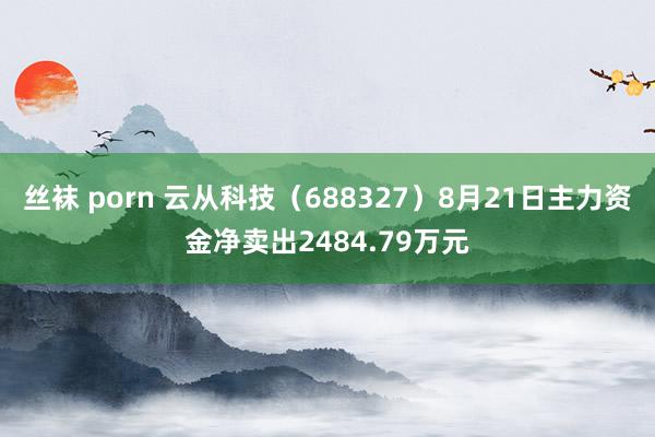 丝袜 porn 云从科技（688327）8月21日主力资金净卖出2484.79万元