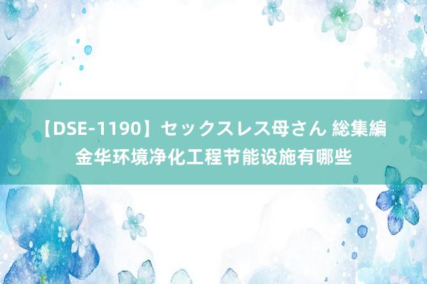 【DSE-1190】セックスレス母さん 総集編 金华环境净化工程节能设施有哪些