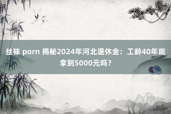 丝袜 porn 揭秘2024年河北退休金：工龄40年能拿到5000元吗？