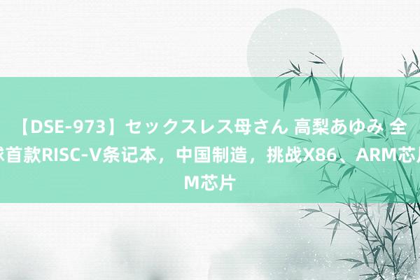 【DSE-973】セックスレス母さん 高梨あゆみ 全球首款RISC-V条记本，中国制造，挑战X86、ARM芯片