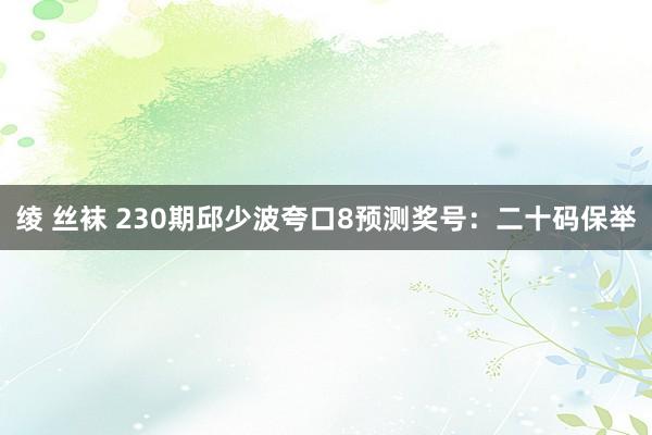 绫 丝袜 230期邱少波夸口8预测奖号：二十码保举